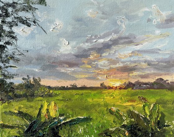 Roadside View at Sunset