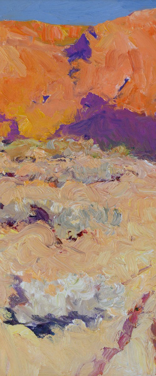 Mojave, Desert by Suren Nersisyan
