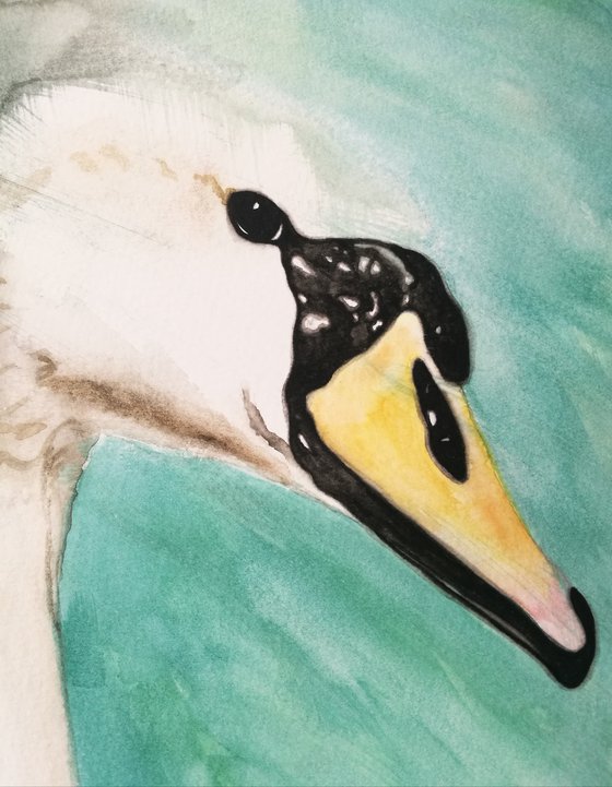 Elegant Beauty. Watercolour Swan. Free Shipping
