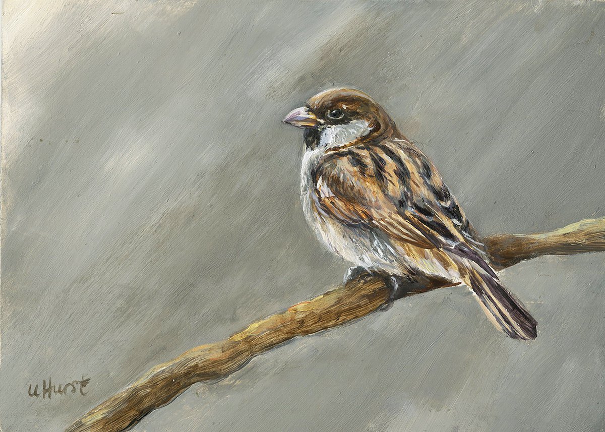 sparrow oil painting