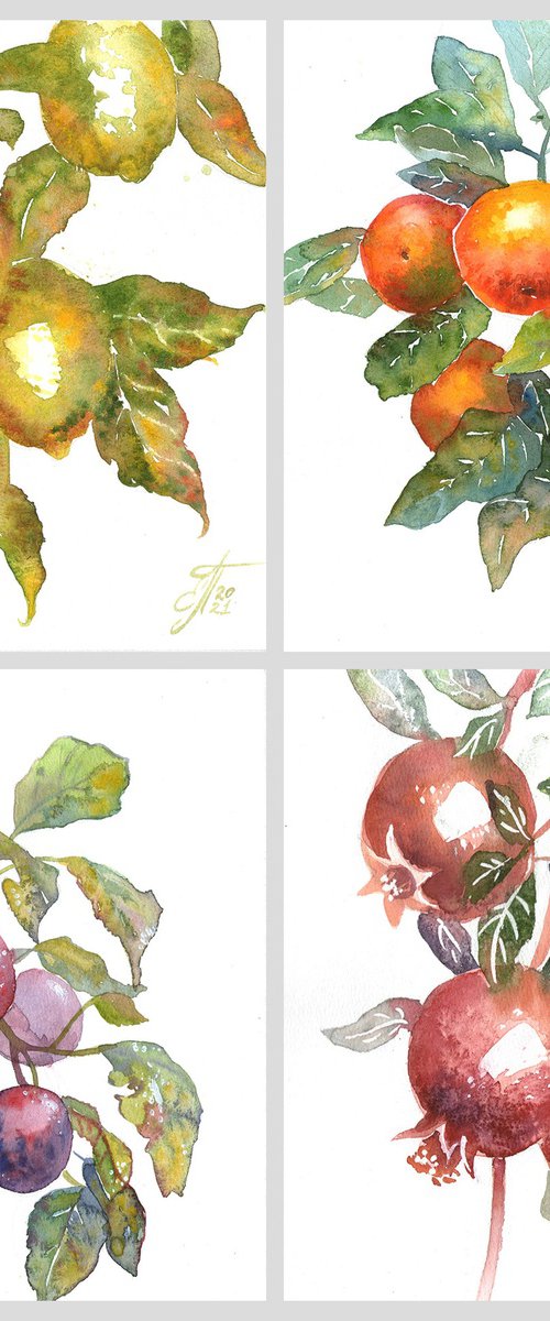 Watercolor Fruit Branches set by Ekaterina Prisich