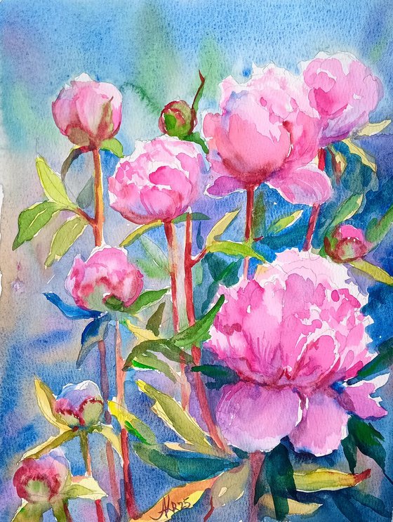 Peonies flowers