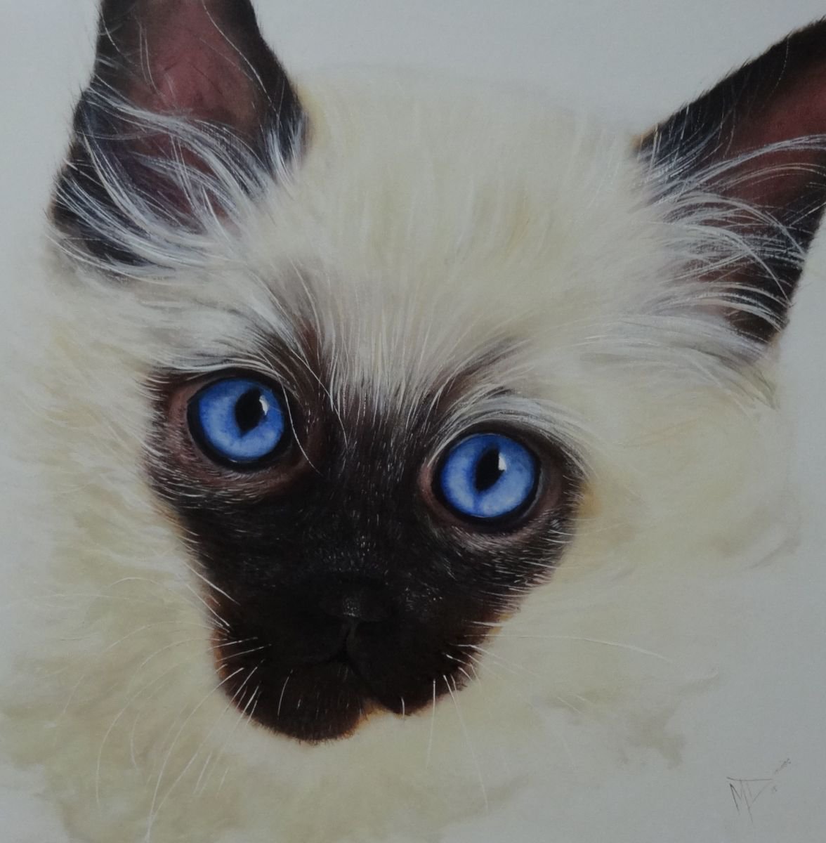 Photorealistic Animal Oil Painting By Mel Davies Original Art, 24 X 24", Cat, The Look., Original Artwork