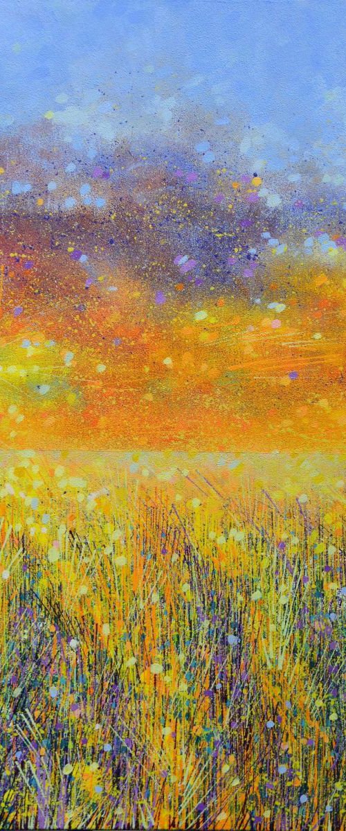 Cornfield at dusk by Marc Todd