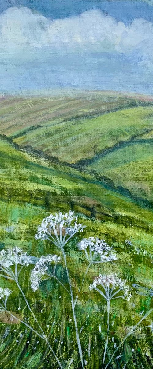 Moorland Views by Janice MacDougall