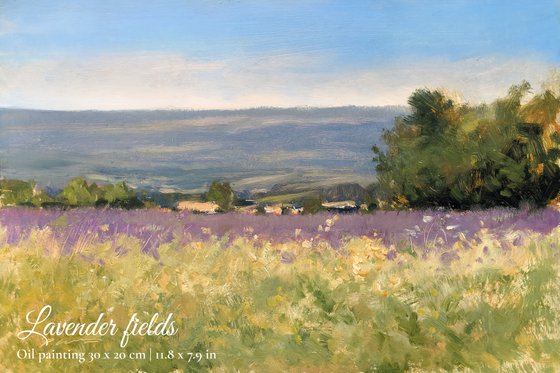 Lavender Fields Set