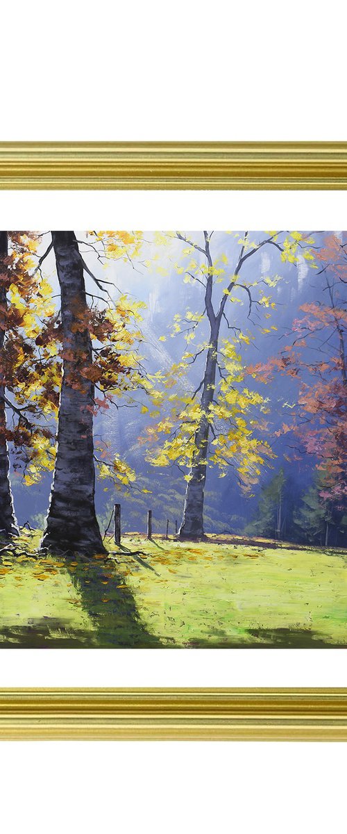 Autumn forest trees landscape by Graham Gercken