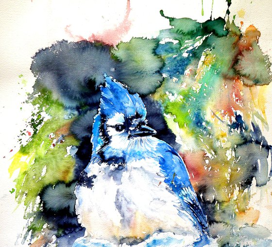 Blue jay