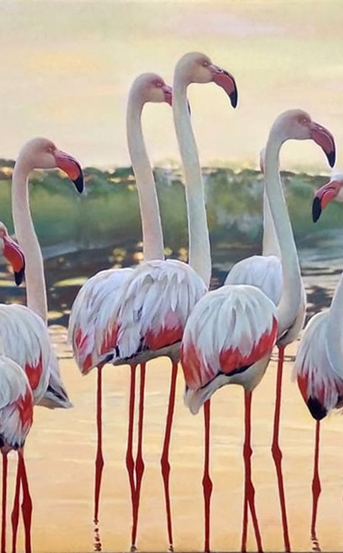 Golden Sunset on Flamingos Beach by Tatiana Rezvaya