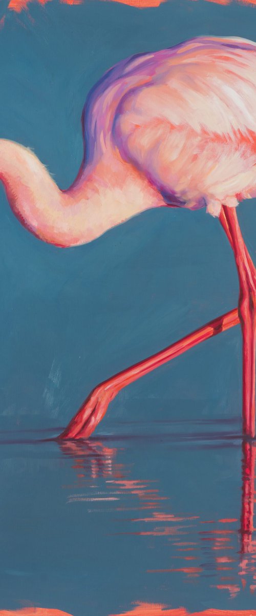 Flamingo 1 by Catherine Ingleby