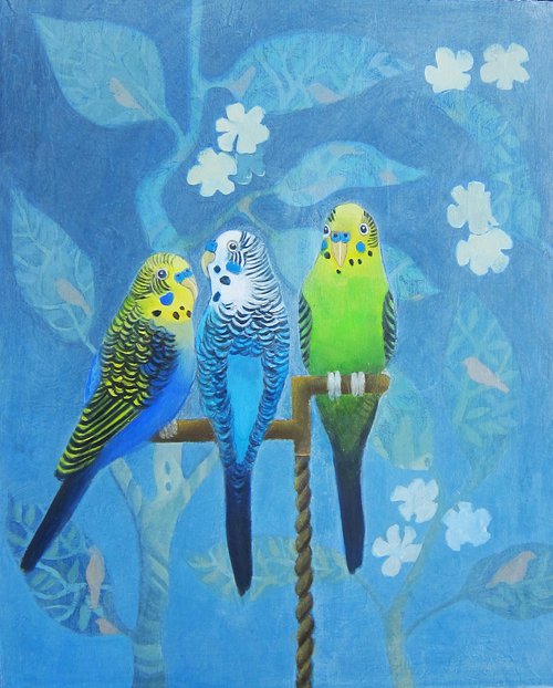 Three Budgies by Sophie Colmer-Stocker