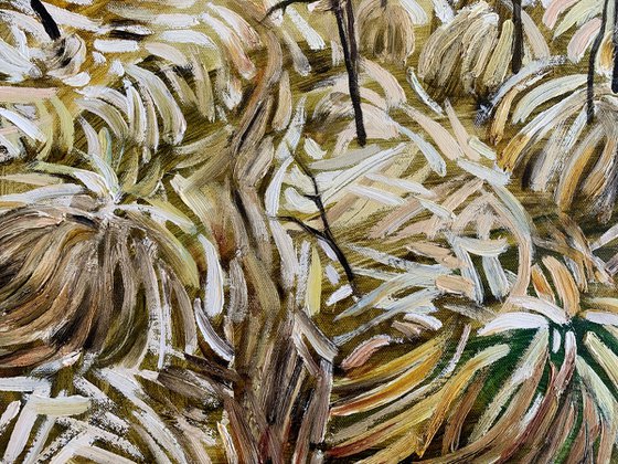 Dry Grasses