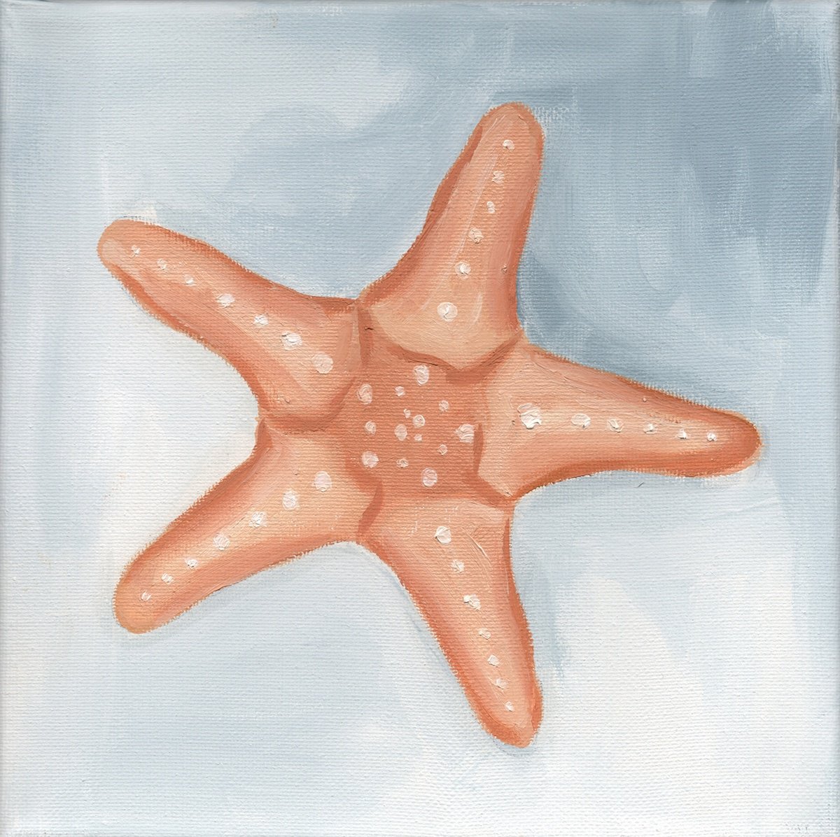 Starfish by Nagore Rodriguez