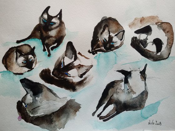 Siamese Cat Sketches