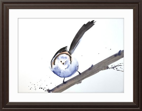 Aegithalos caudatus Bird