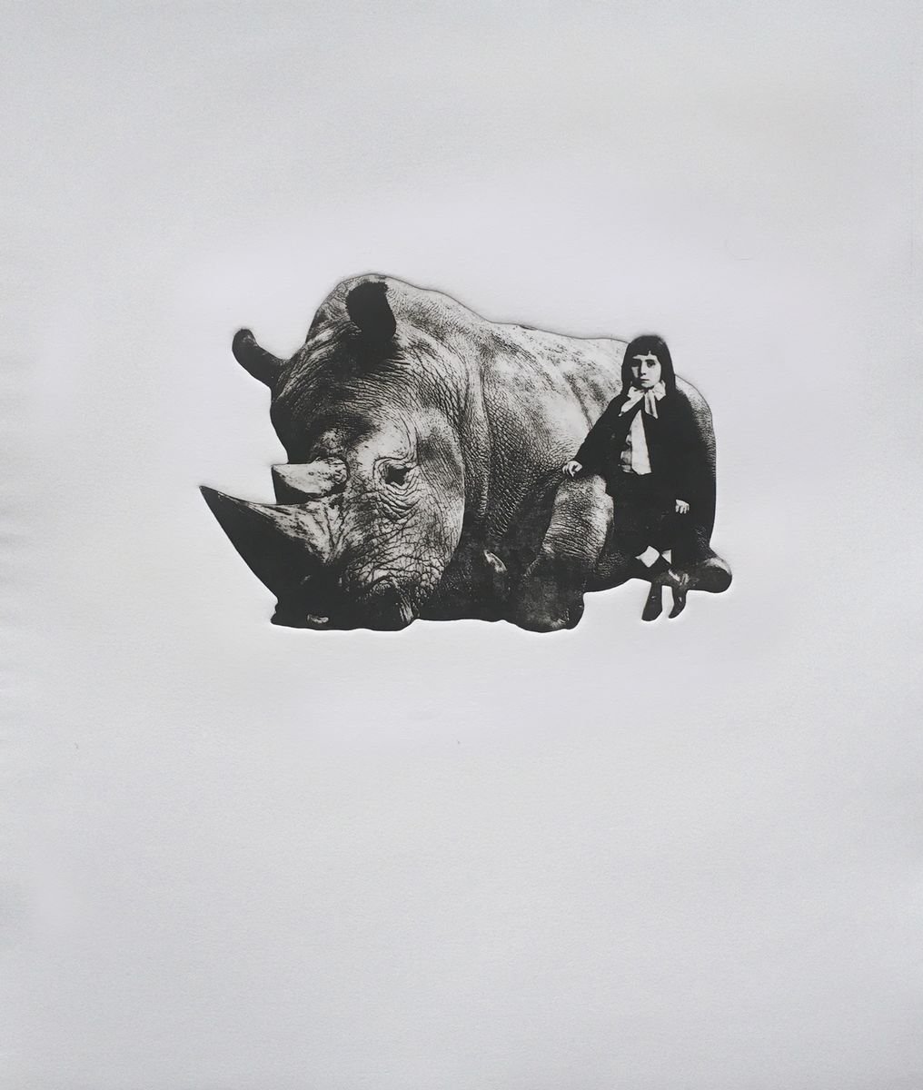 Boy and Rhino No.5 by Jaco Putker