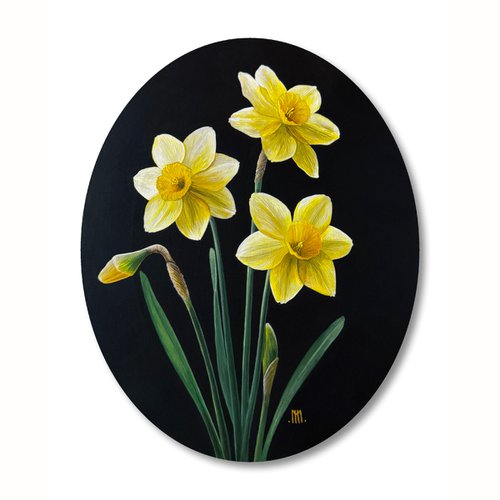 Narcissus (Daffodils) by Connor Mason Holcomb