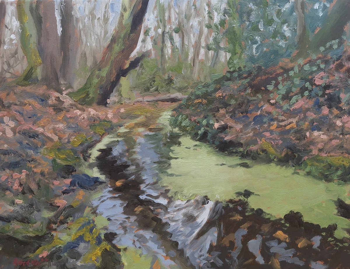 Woodland Stream by Robert Mee