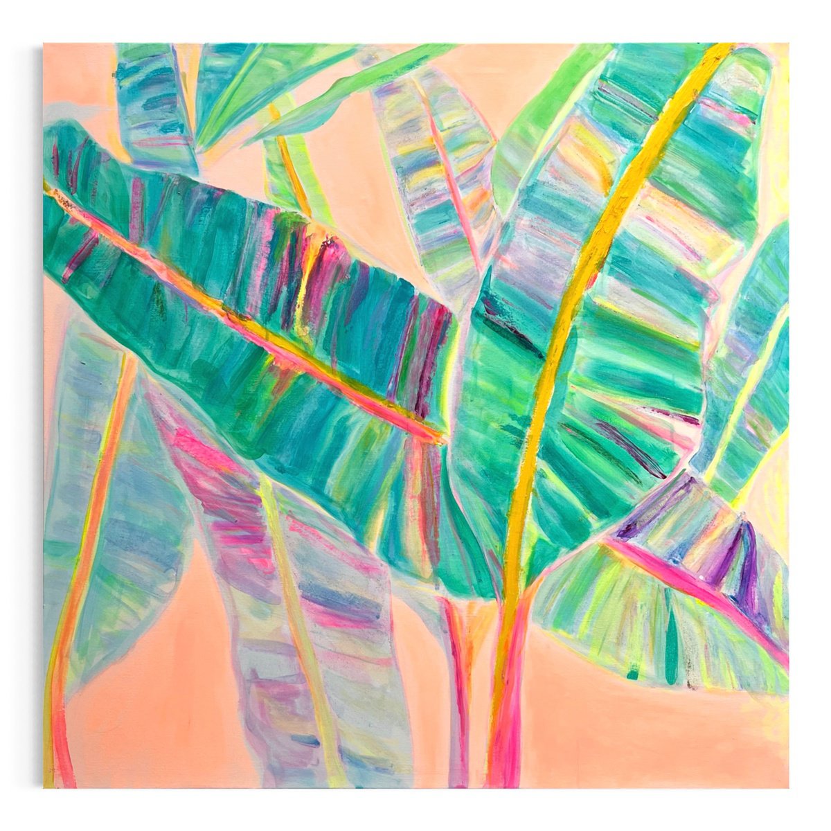 ’Rainbow Banana Leaves’ by Kathryn Sillince