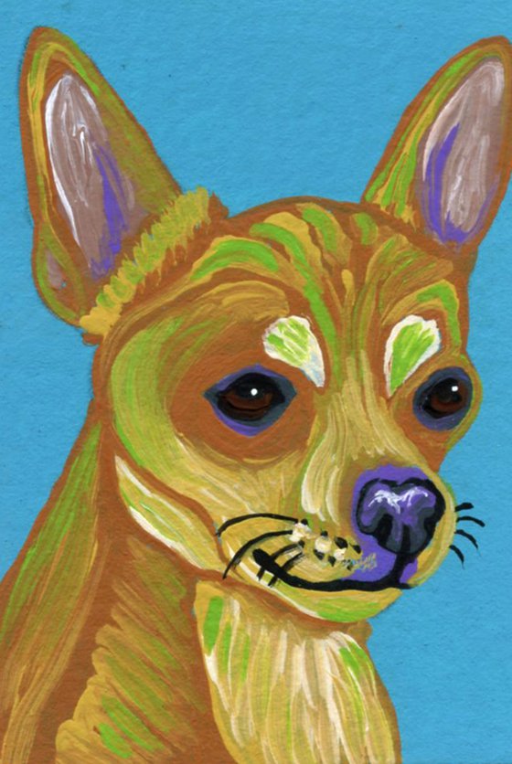 ACEO ATC Original Miniature Painting Colorful Chihuahua  Pet Dog Art-Carla Smale