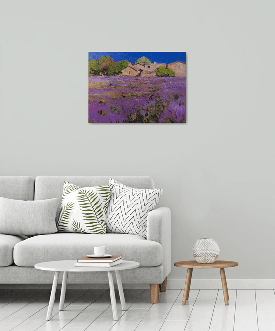 French Village. Lavender