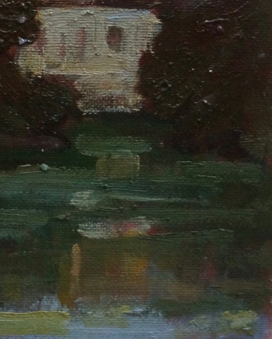 Evening Glow on the Danube