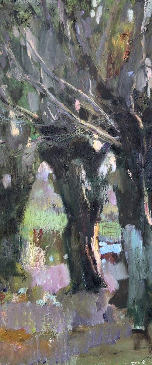 In the shade of old trees by Olha Laptieva