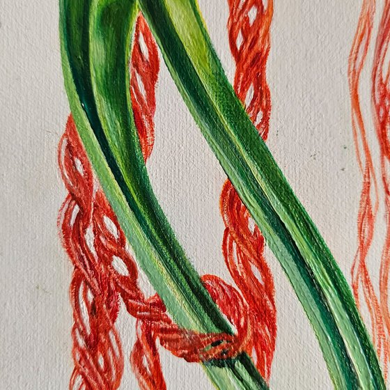 Spring Transformations