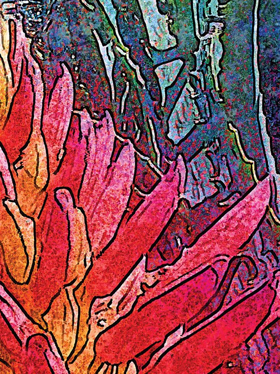 Sabila en flor 2