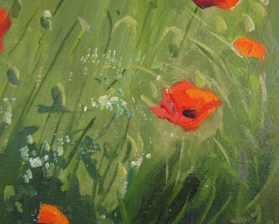 Poppies