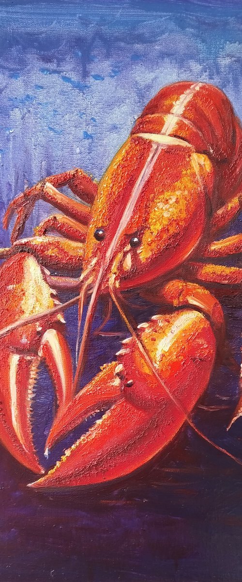 Luxury lobster by Dmitrij Tikhov