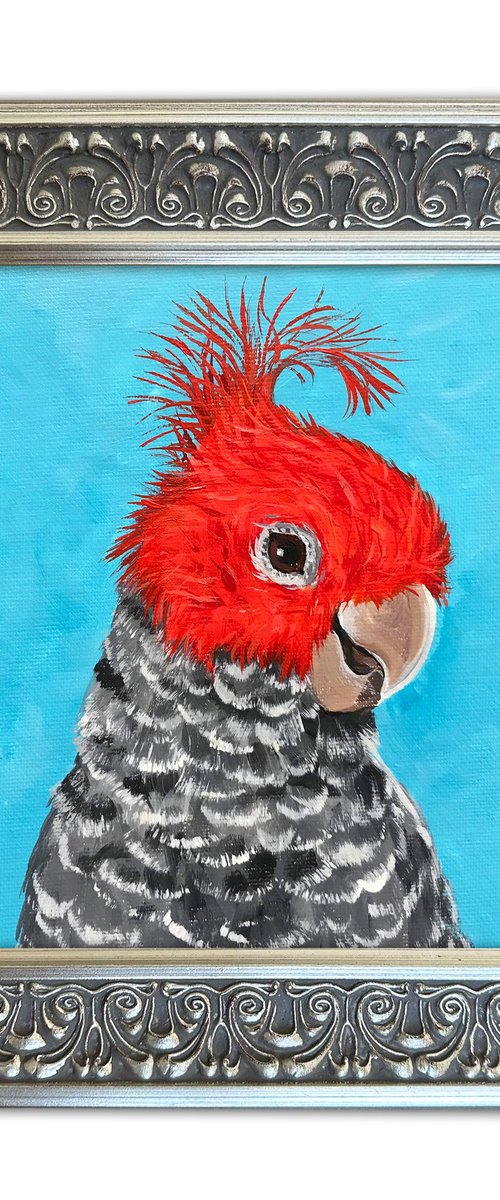 Gang-gang cockatoo portrait by Irina Redine