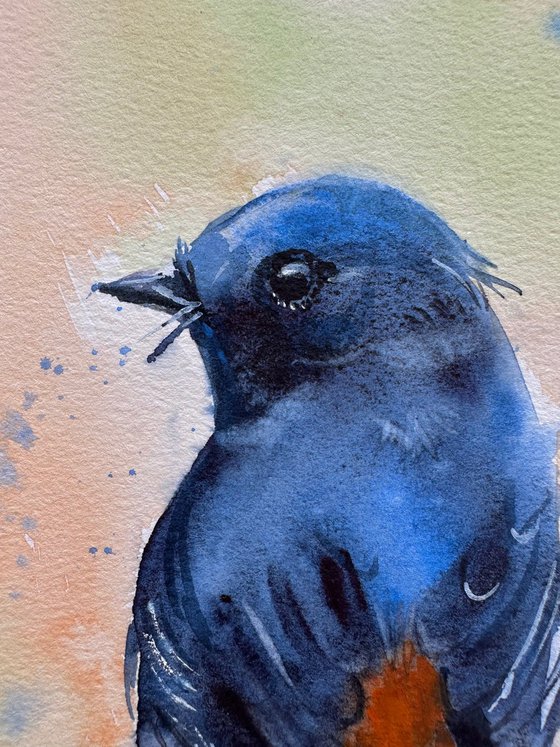 Birds: Redstart and Pink Robin