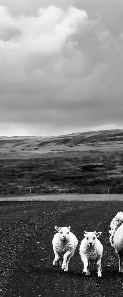 ICELAND TRAFFIC by Fabio Accorrà