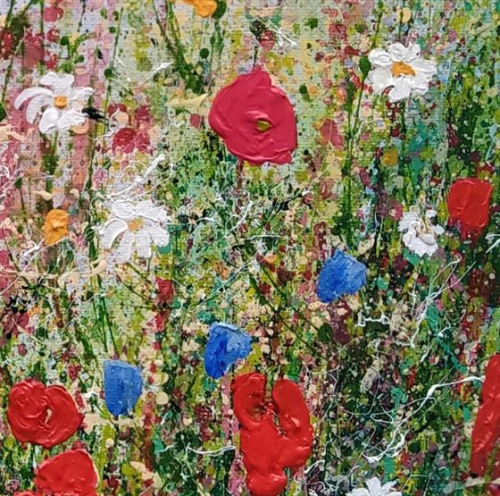 Petals Poppies and Wildflowers