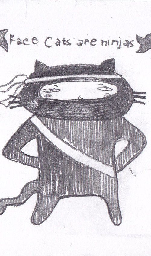Ninja Cat by Anastasia Terskih