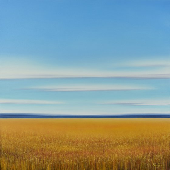 Golden Summer Field - Blue Sky Landscape