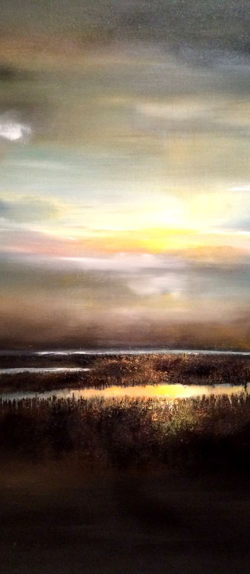Brilliance by Kimberley  Harris