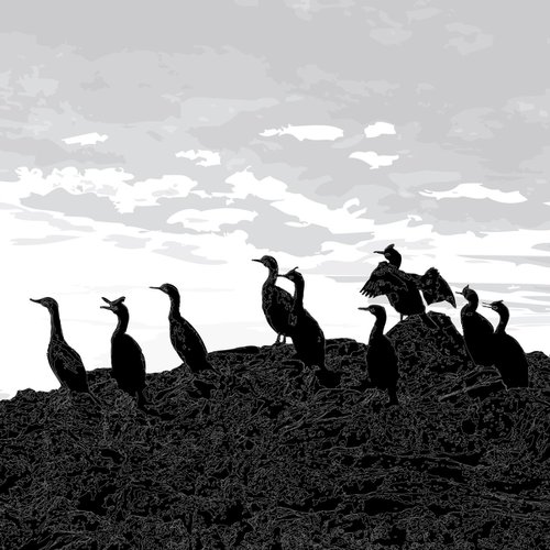 SHAGS ON THE ROCKS by Keith Dodd