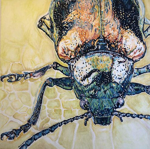 Beetle by Sarah Perkins