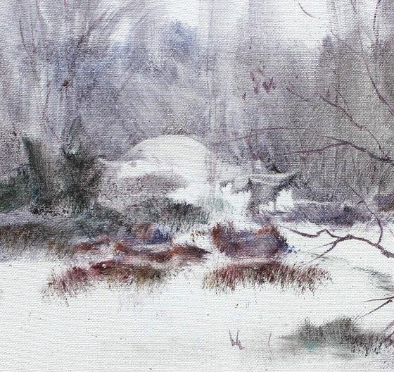 Winter contrast