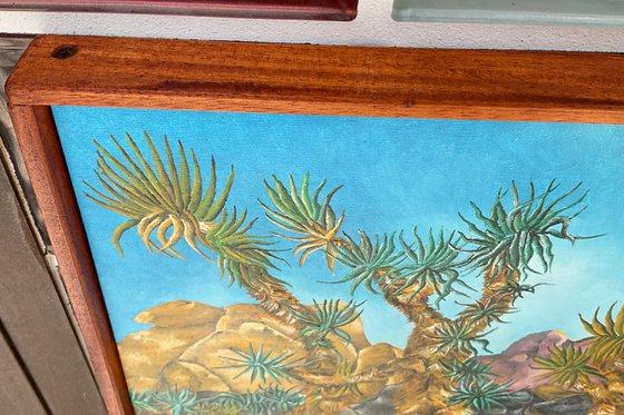 Joshua Trees