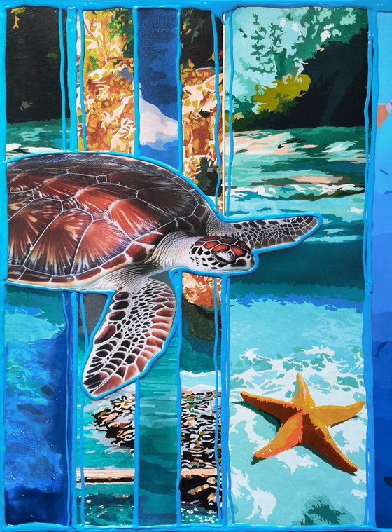 Turtles of the turquoise ocean