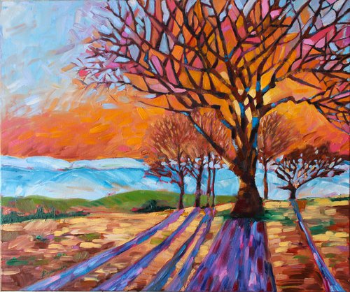 Glory sunset - Landscape with trees, lights and shadows Oil painting by Ola Bogakovsky