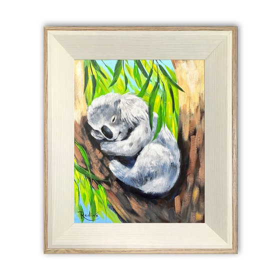 Sweet dreams – Sleeping Koala