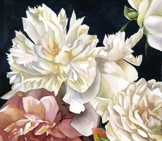 peonies with roses watercolor floral