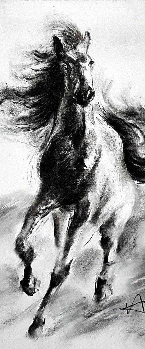 Running Horse by Henry Cao