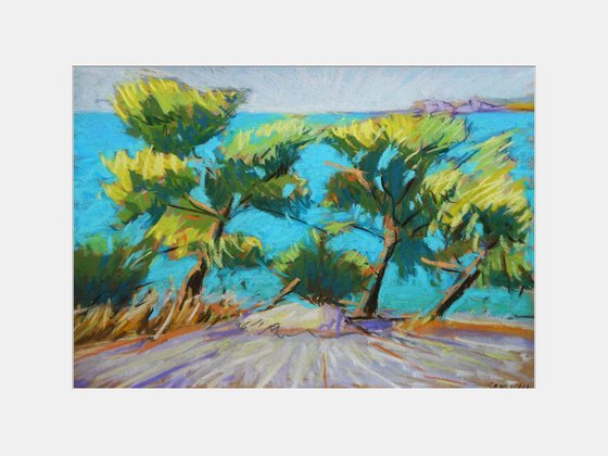 Mediterranean afternoon. Pines