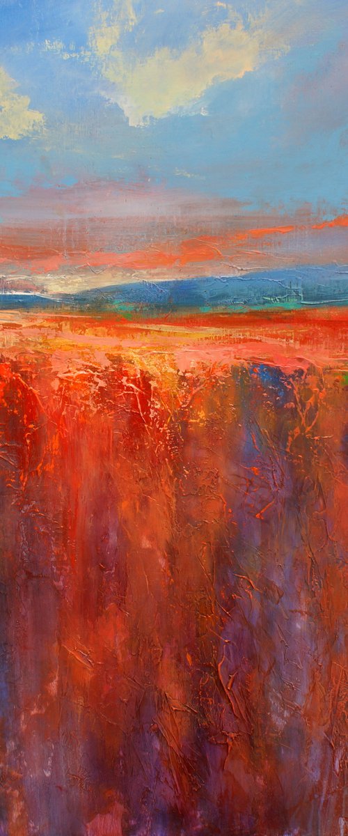 Moods of The Flinders by Sandra Michele Knight