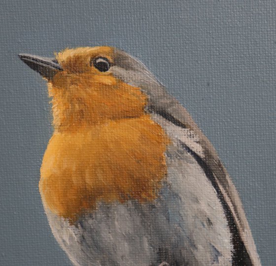 Lockdown's Morning Chorus Series - Robin, Bird Artwork, Animal Art Framed